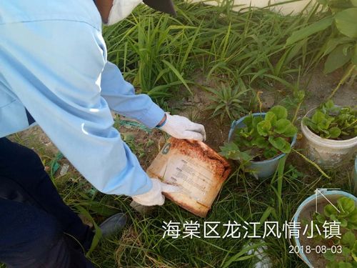 顺海科技三亚办事处2018年8月3日工作日志
