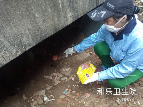 顺海科技万宁办事处和乐镇2018年8月11日工作日志