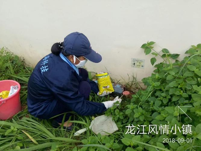顺海科技三亚办事处2018年9月1日工作日志