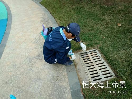 顺海科技三办事处防制员2018年12月26日恒大海上帝景工作日志