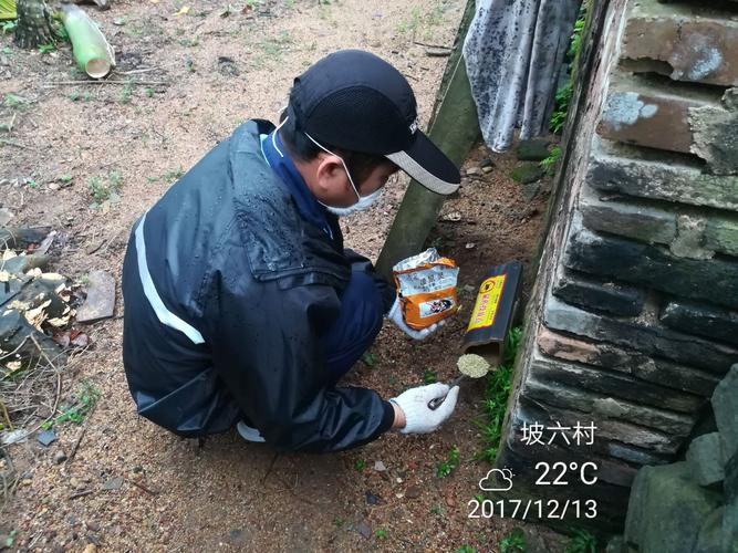 海南顺海科技琼海十二月十三日工作日志