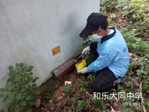 顺海科技万宁办事处和乐镇2018年8月11日工作日志